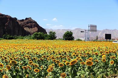 《永劫无间》迦南进阶玩法 网易云游戏无需配置带你快速上分